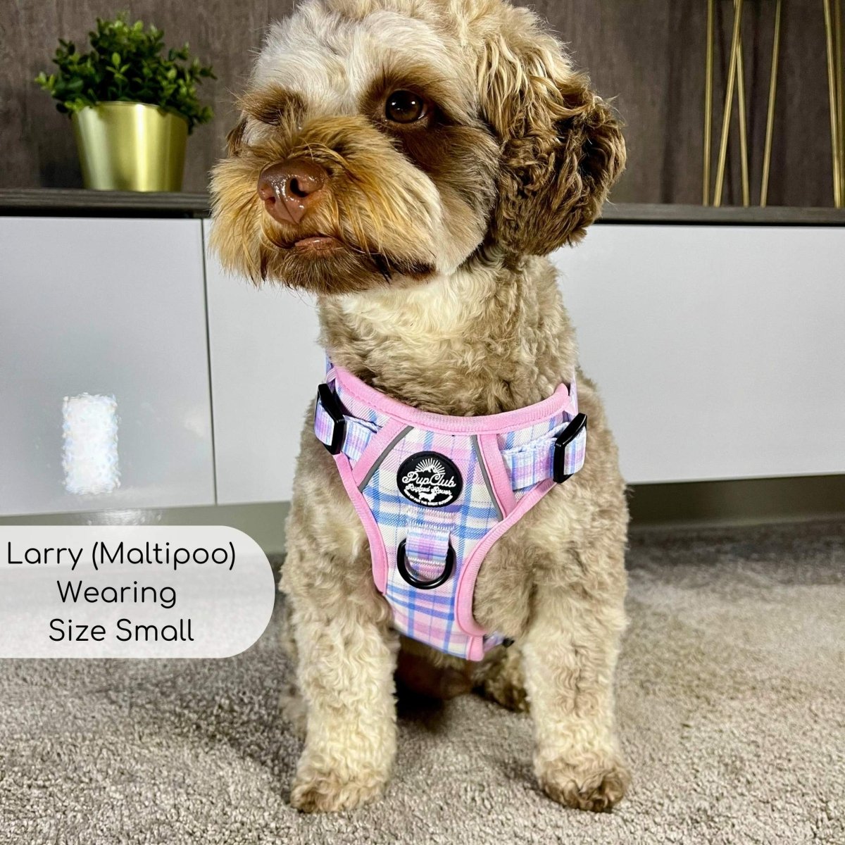 Pink Tartan No Pull Dog Harness