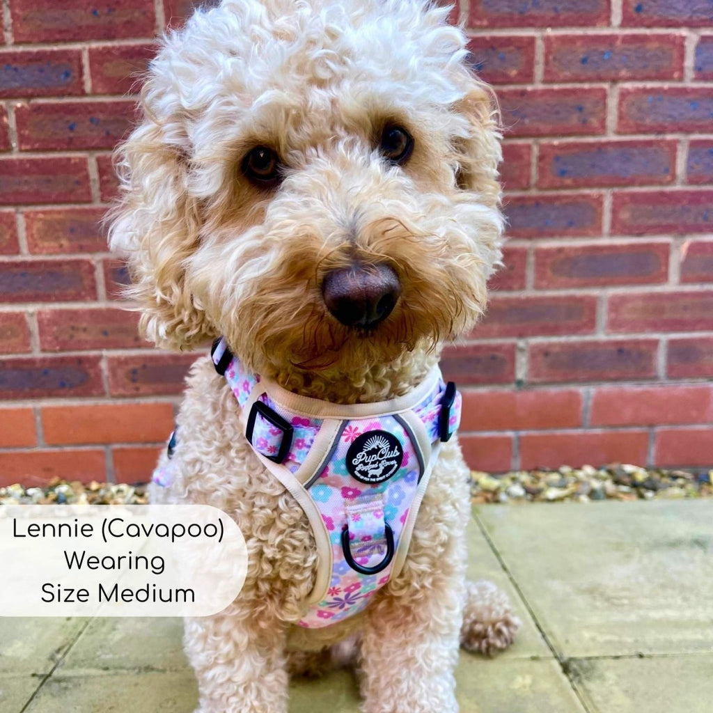 Pretty Petals No Pull Dog Harness