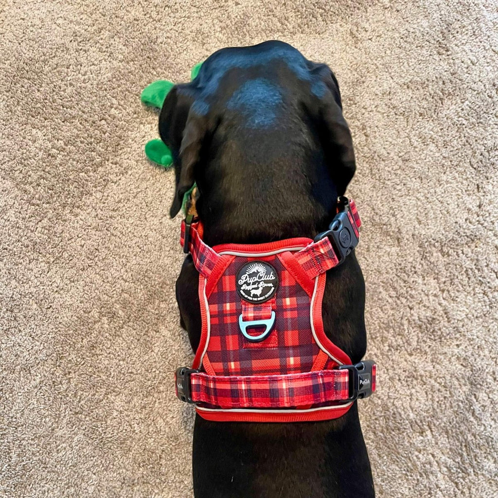 Red Tartan No Pull Dog Harness