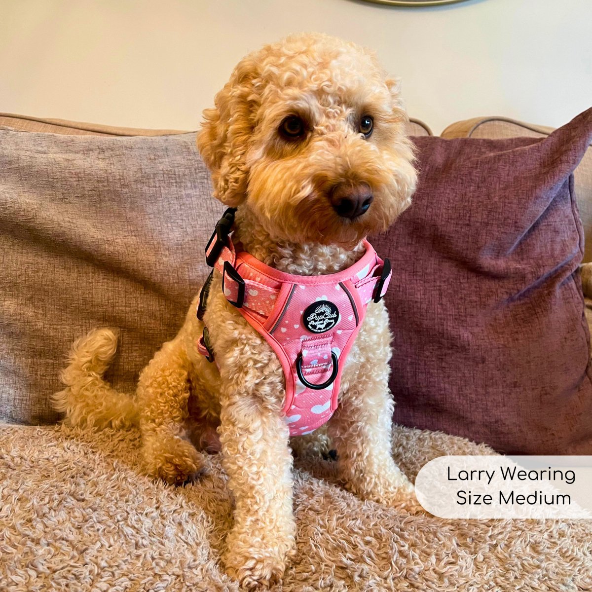 Rugged Rover Harness Peachy Hearts
