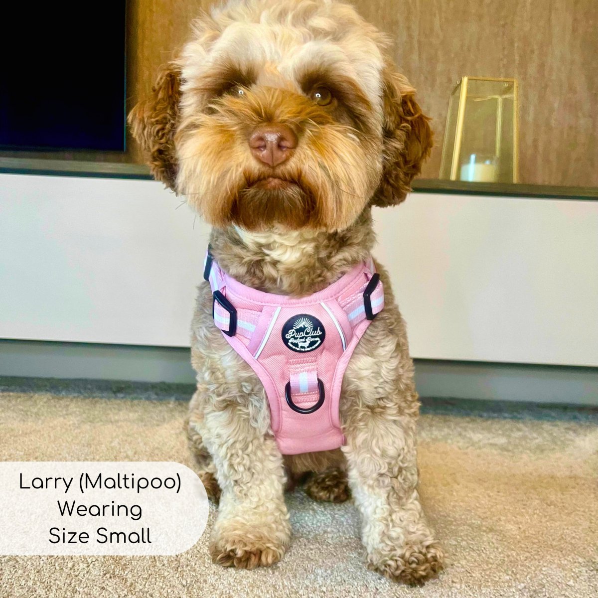 Pastel Pink No Pull Dog Harness with Front and Back Control