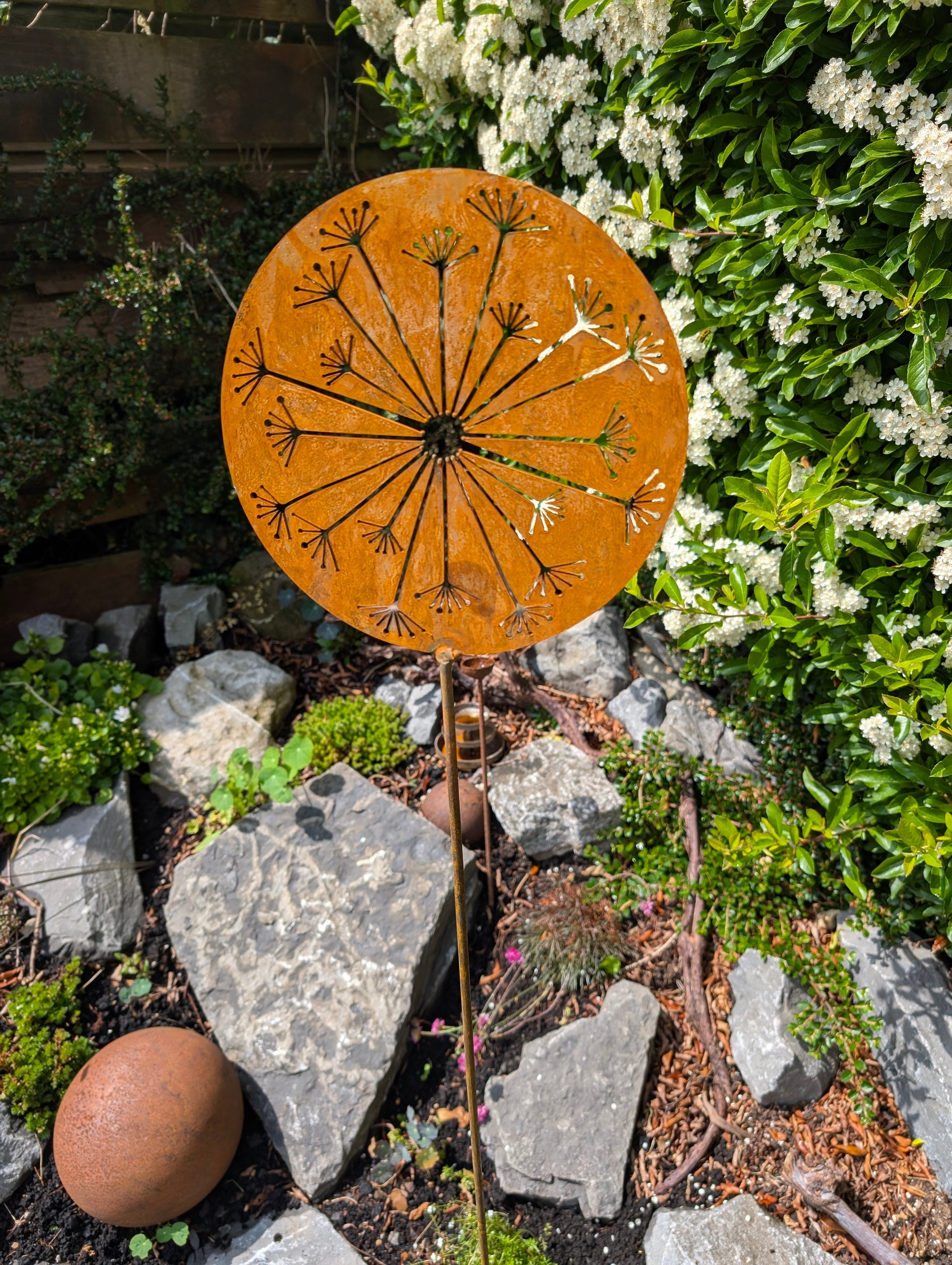 Allium Burst