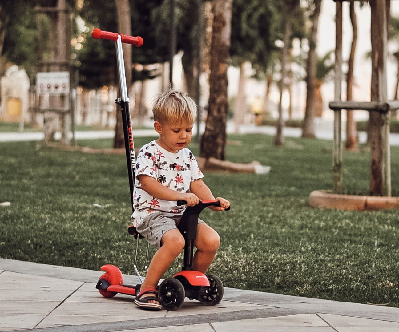 Discover Fun and Adventure with the 3-in-1 Kids' Scooter - Safe, Adaptable & Exciting by Milly Mally at www.brixbailey.com