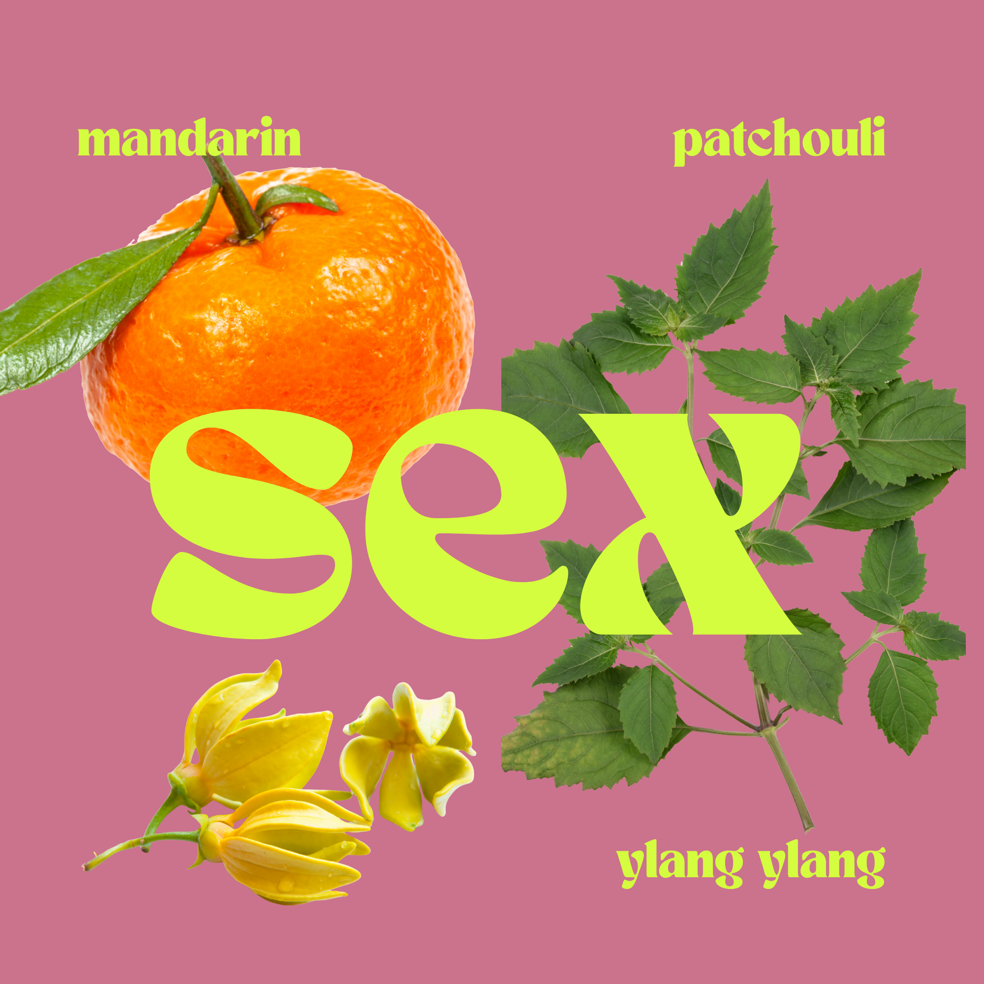 Sex The Seductive Candle