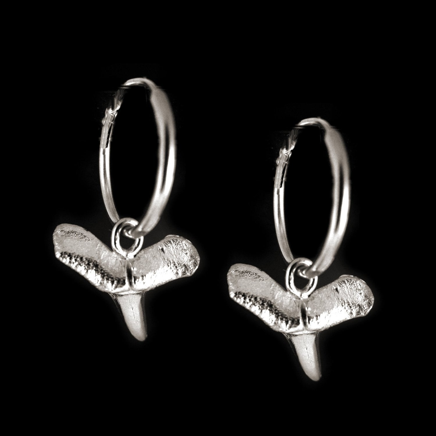 Sharks Tooth Earrings