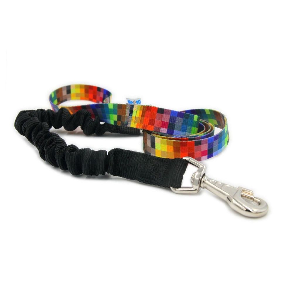 a playful golden retriever on a sunny walk with the shock-absorbing leash