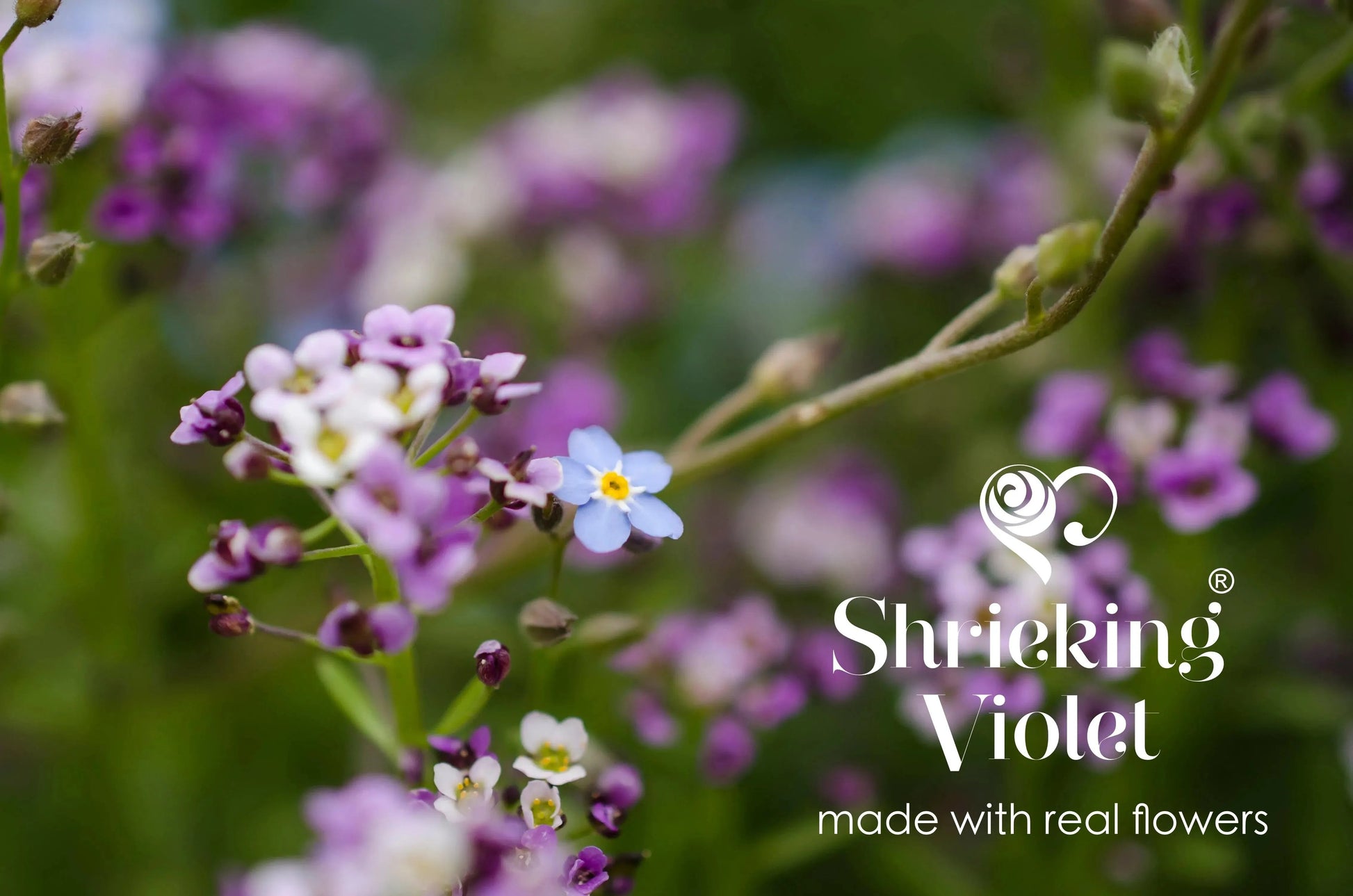Handmade Sterling Silver Round Drop Earrings with Real Flowers