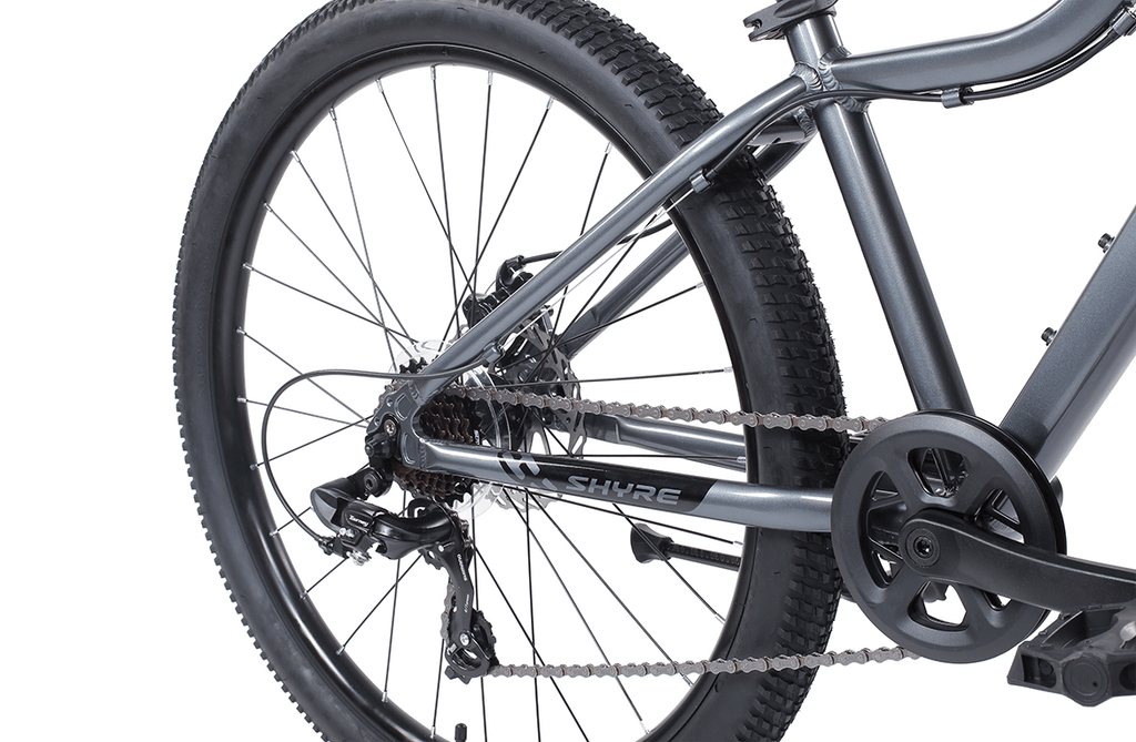 26 Inch Wheel Kids Mountain Bike for Ages 10 Plus
