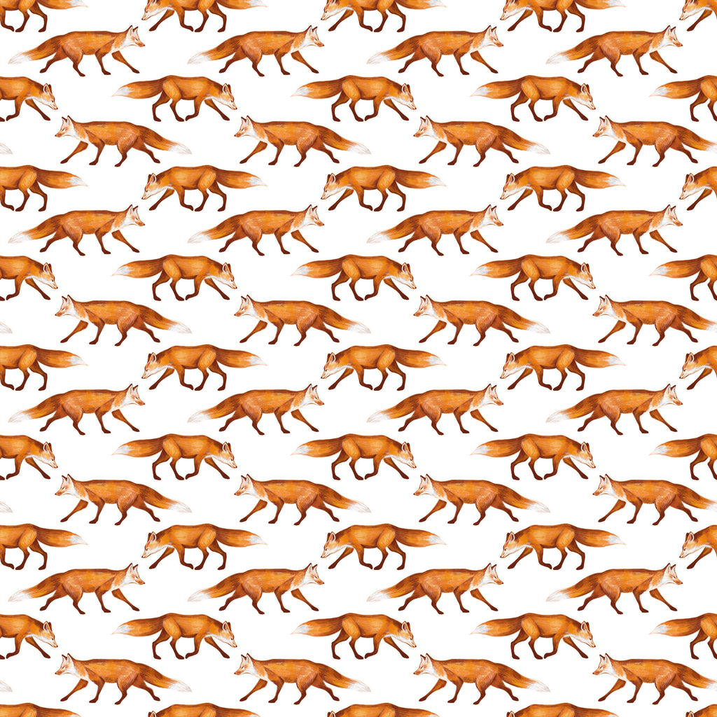 Slink Fox Wallpaper