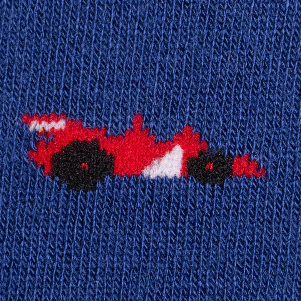 Racing Cars Matching Bamboo Socks for Adults and Children