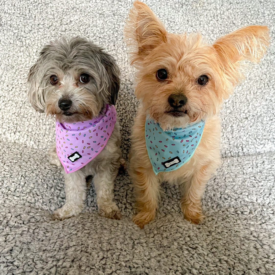 Sprinkles Cooling Bandana Pink