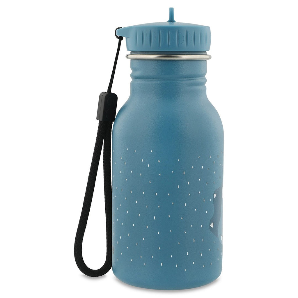 Stainless Steel Bottle 350 ml - Mr. Triceratops