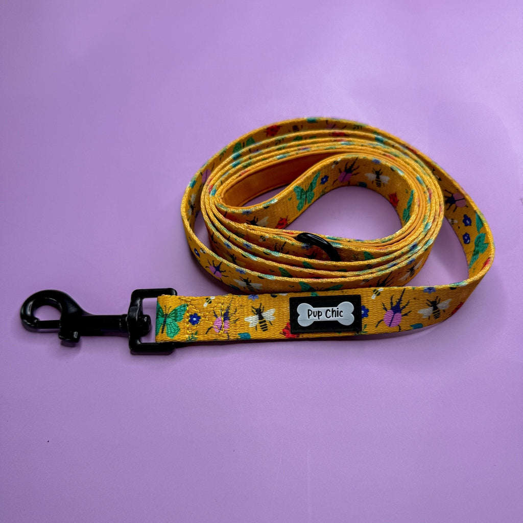 Summer Buzzin 5ft Dog Lead