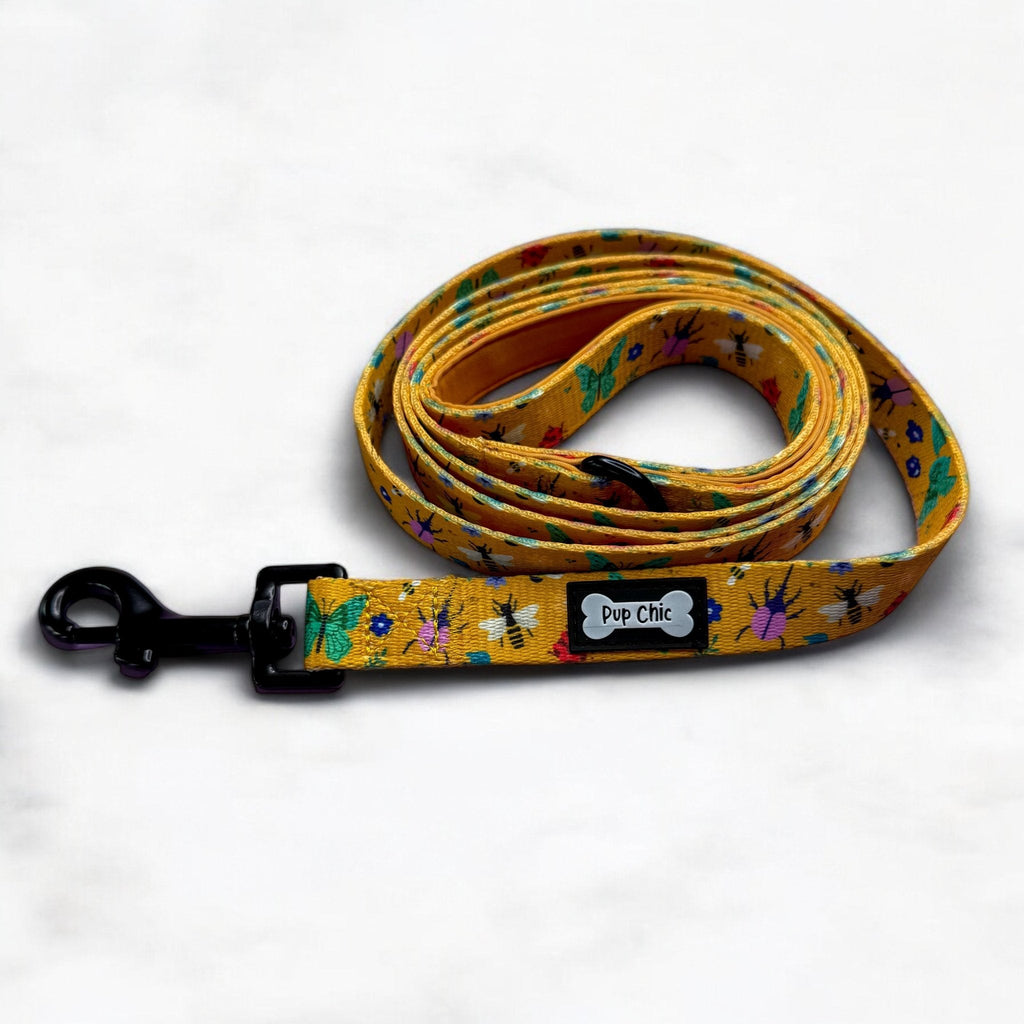 Summer Buzzin 5ft Dog Lead