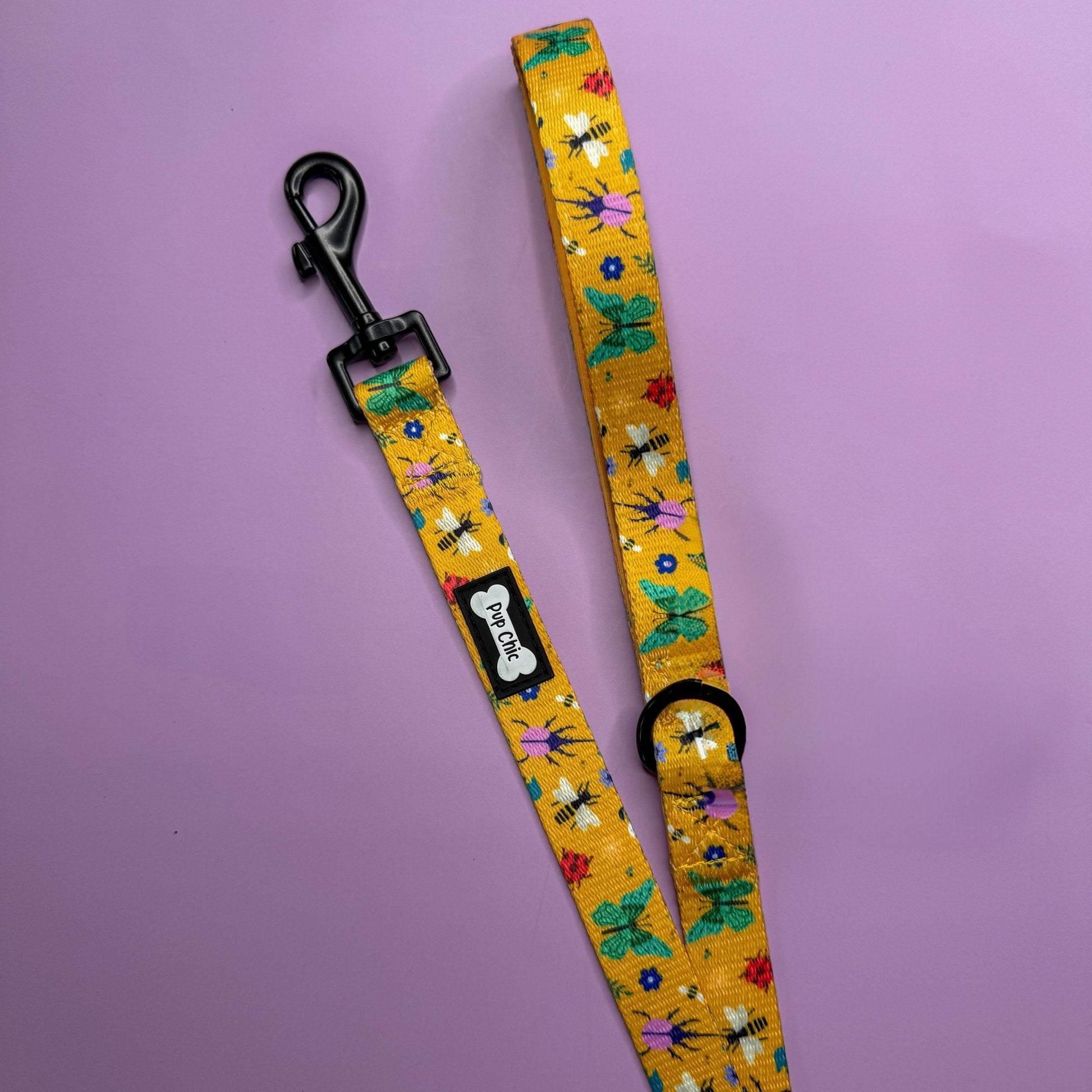 Summer Buzzin 5ft Dog Lead