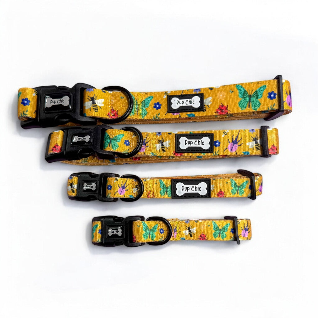 Summer Buzzin Dog Collar