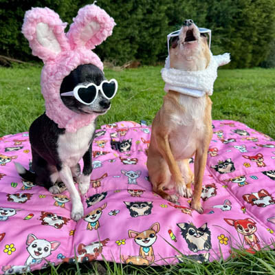 Roll and Go Signature Pink Padded Chihuahua Print Travel Mat