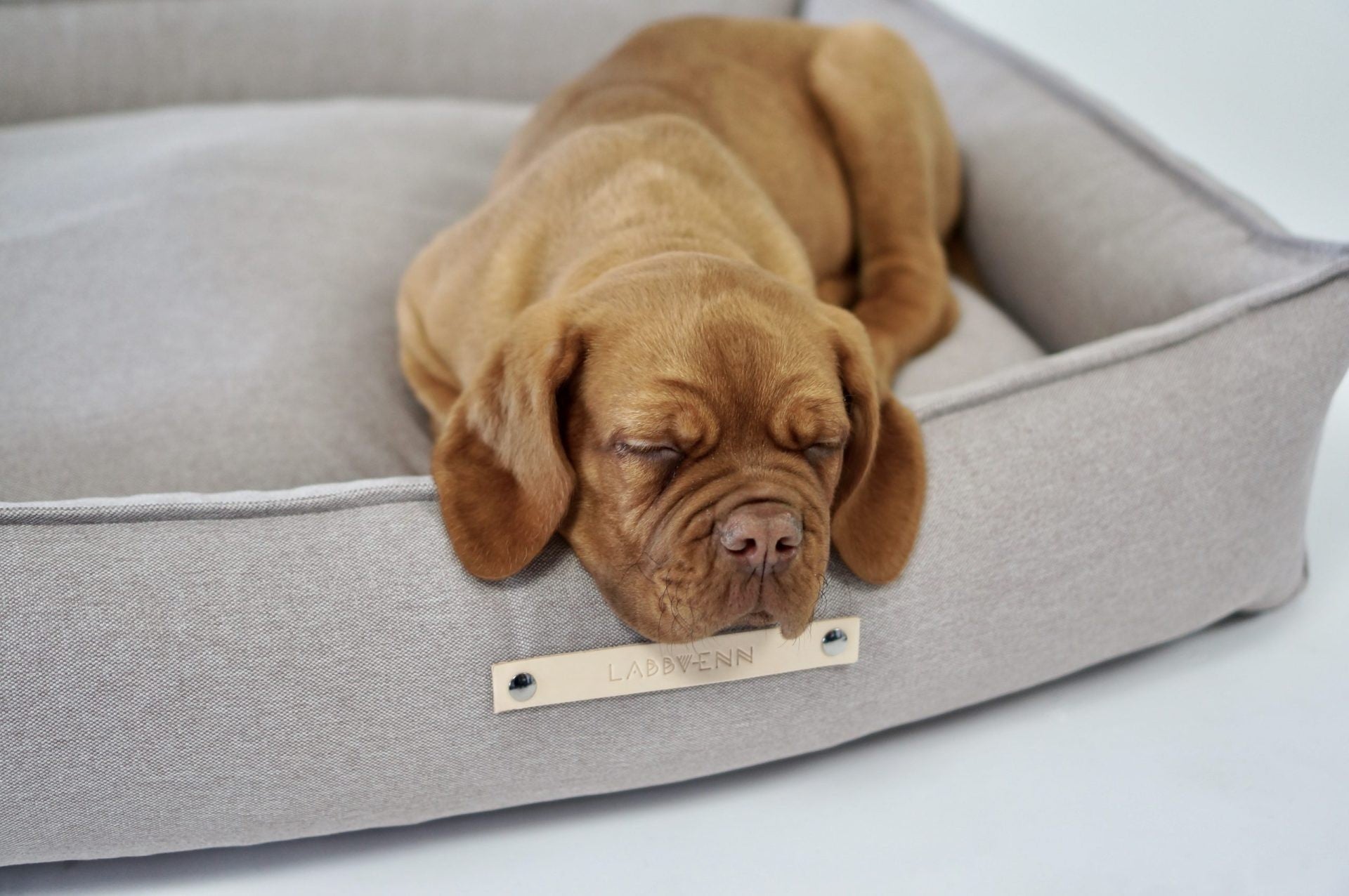 bold nut-brown töve dog bed in a modern living room setting