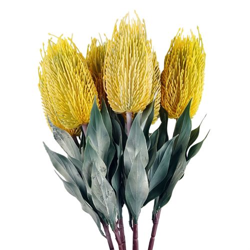 Pack of 6 Yellow Banksia Flower Stems 75cm Artificial