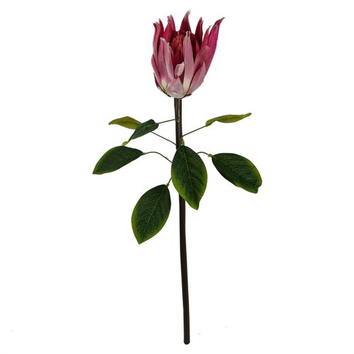 65cm Pink Protea Sugarbush Flower Stem