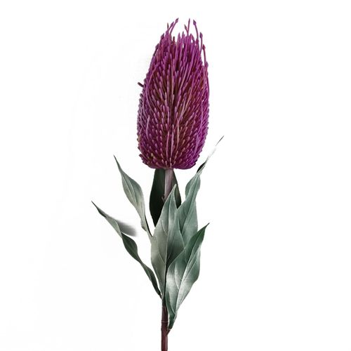 75cm Pink Banksia Menziesii Artificial Flower Stem