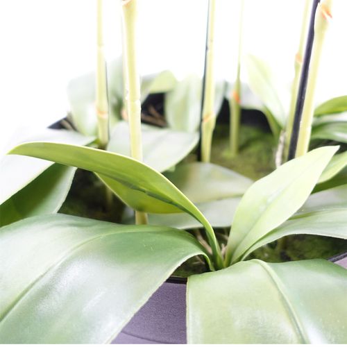 110cm Large Yellow Peach Orchid Plant Artificial with 41 Real Touch Flowers