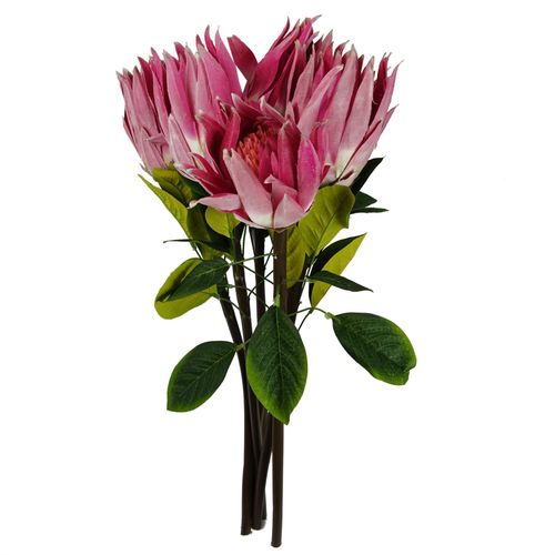 65cm Pink Protea Sugarbush Flower Stem