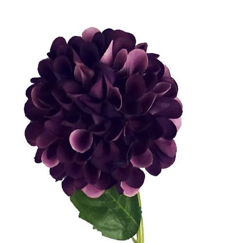 Pack of 6 Purple Artificial Dahlia Pompom Flower Stems 75cm