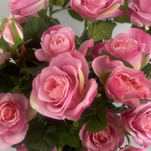 60cm Premium Pink Silk Rose Bush with Realistic Petals