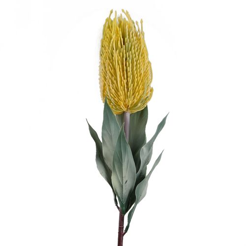 Pack of 6 Yellow Banksia Flower Stems 75cm Artificial