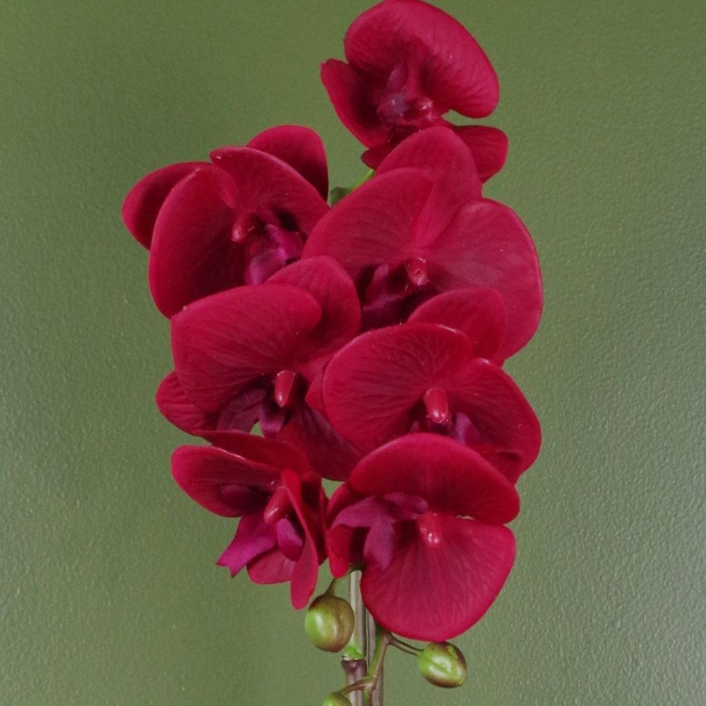 Red Orchid Artificial Plant 46cm with Silver Pot
