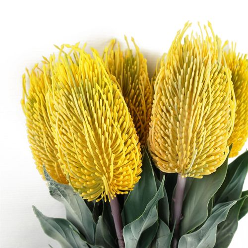 Pack of 6 Yellow Banksia Flower Stems 75cm Artificial