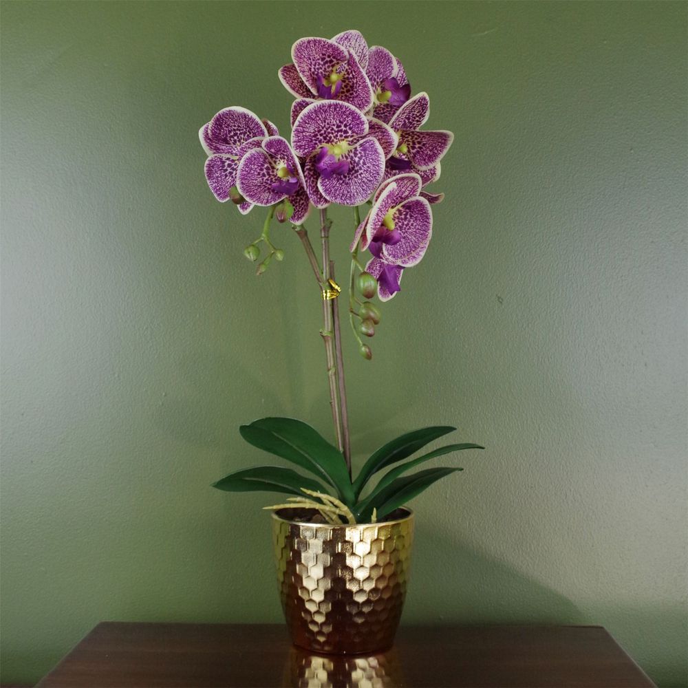 50cm Purple Leopard Orchid Artificial Plant with Gold Pot