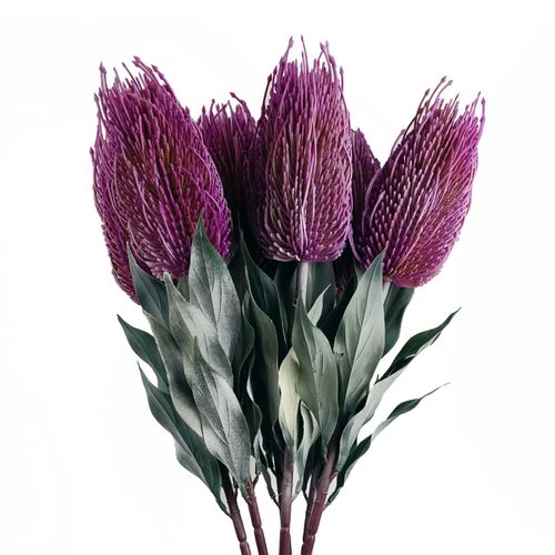 75cm Pink Banksia Menziesii Artificial Flower Stem