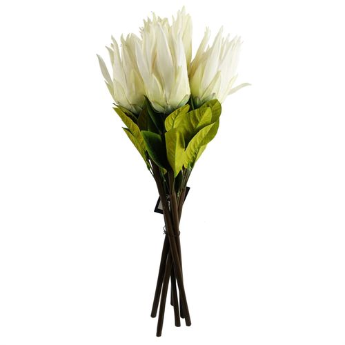 65cm White Protea Sugarbush Flower Stem