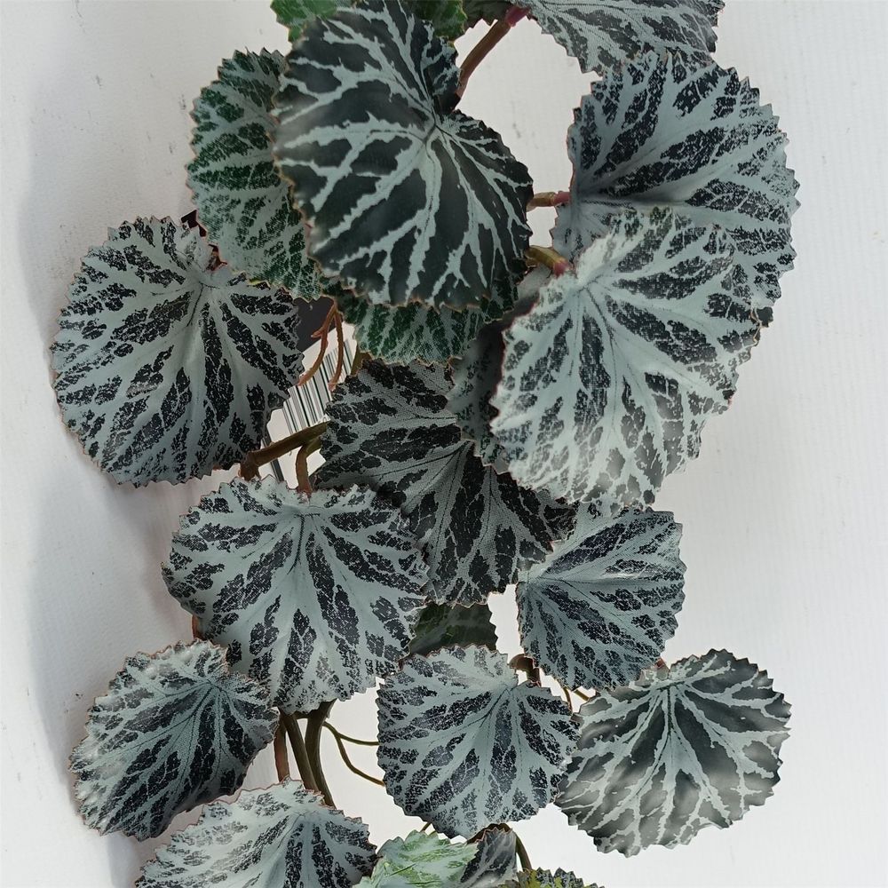 Trailing Begonia Artificial Plant 50cm with Realistic Leaves