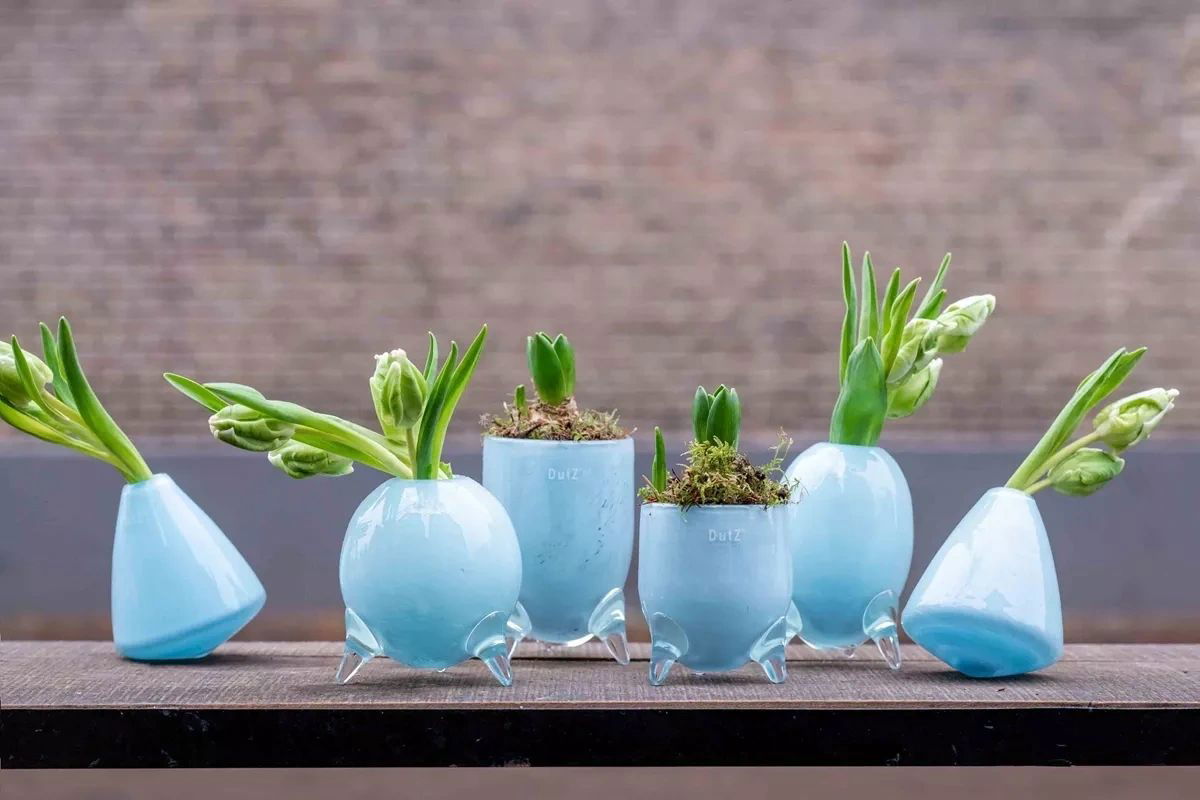 EVITA Vase with Feet Set of 4 Handcrafted Glass in Multiple Colors