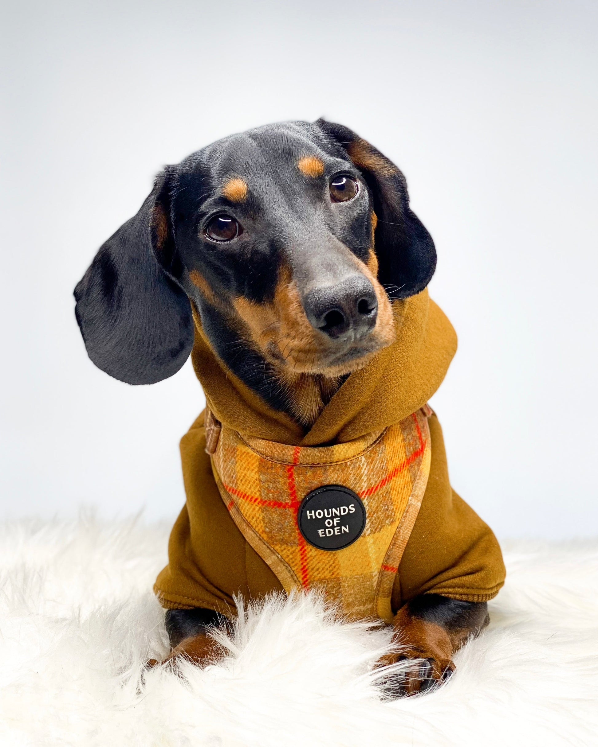 Dog Hoodie - Olive Green