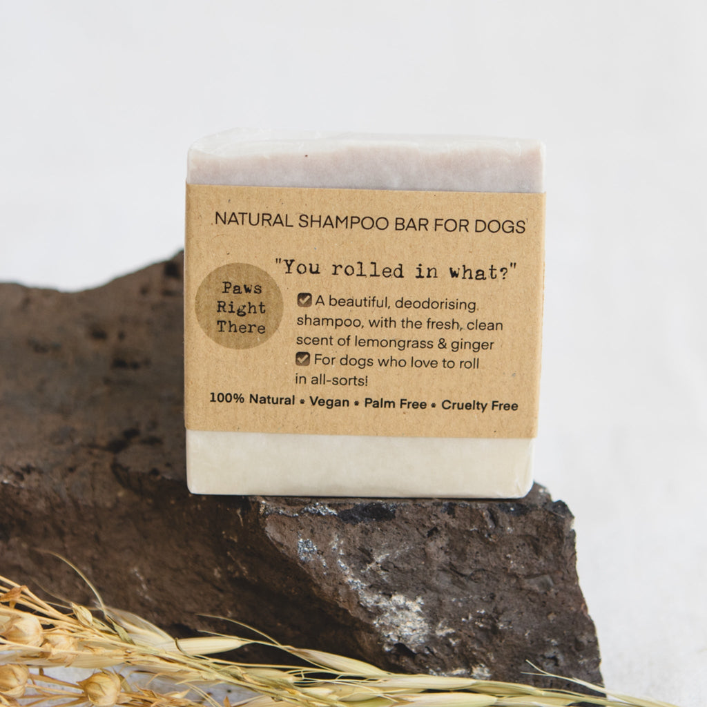 You Rolled in What Natural Shampoo Bar for Dogs